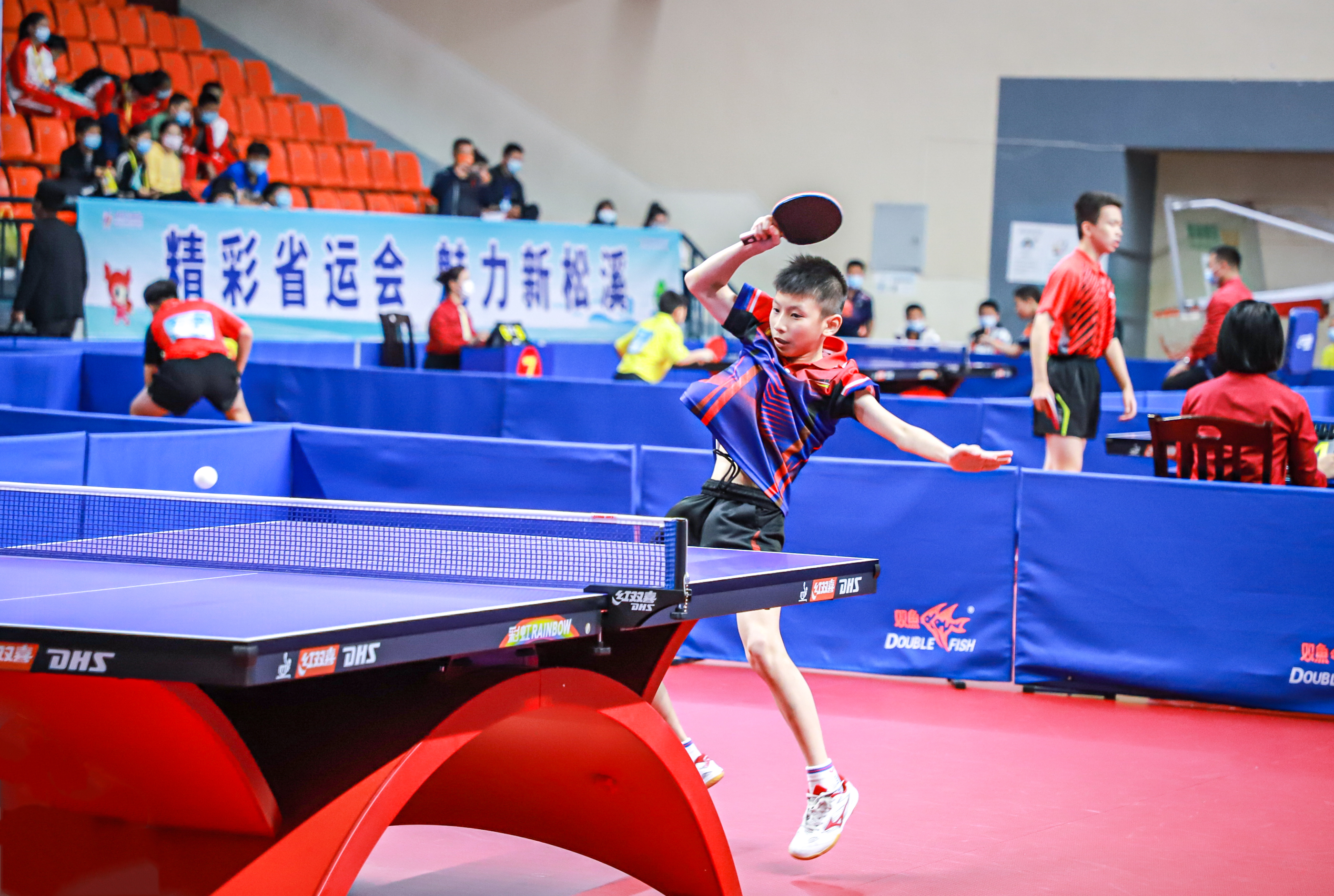 坚韧不拔的 坚韧不拔的