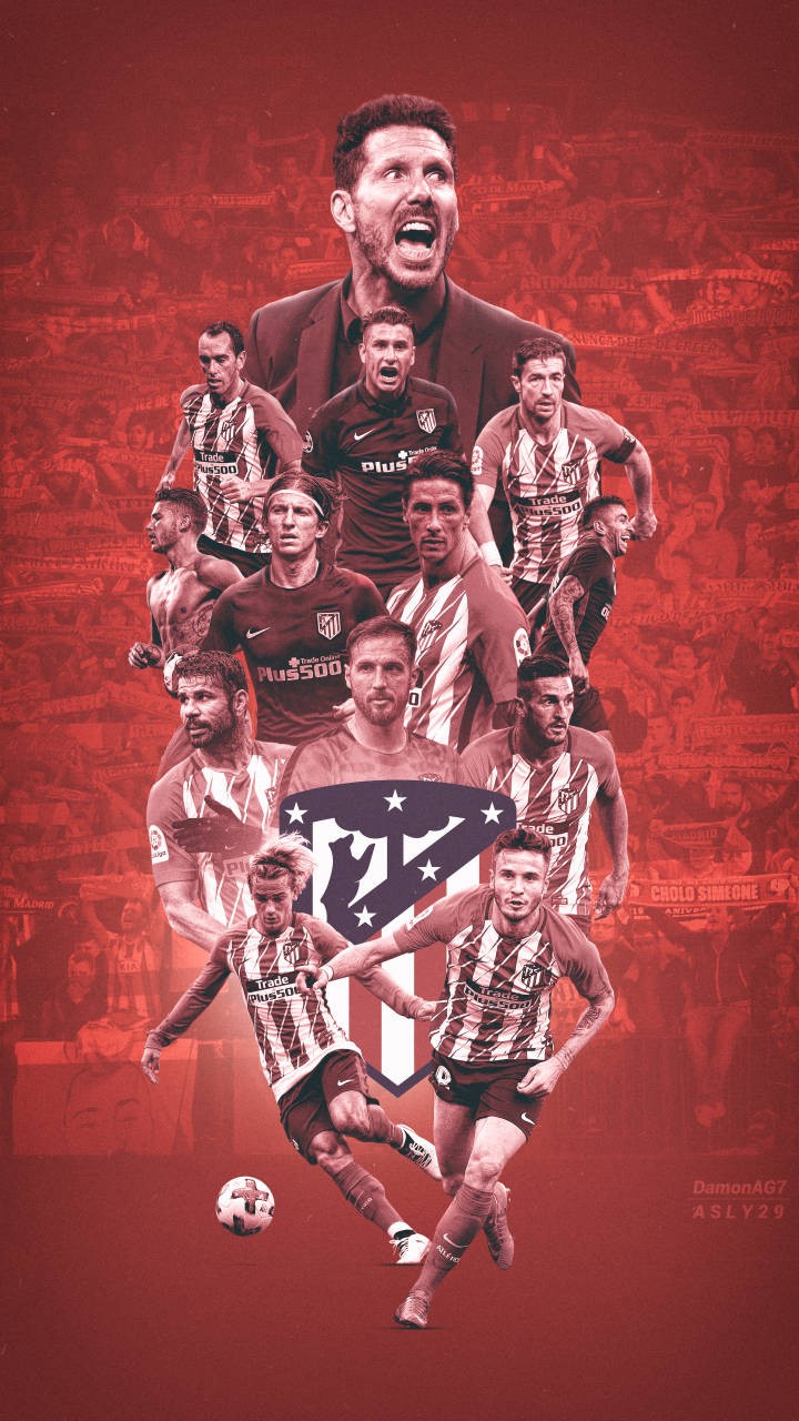 T春季赛对 T春季赛对